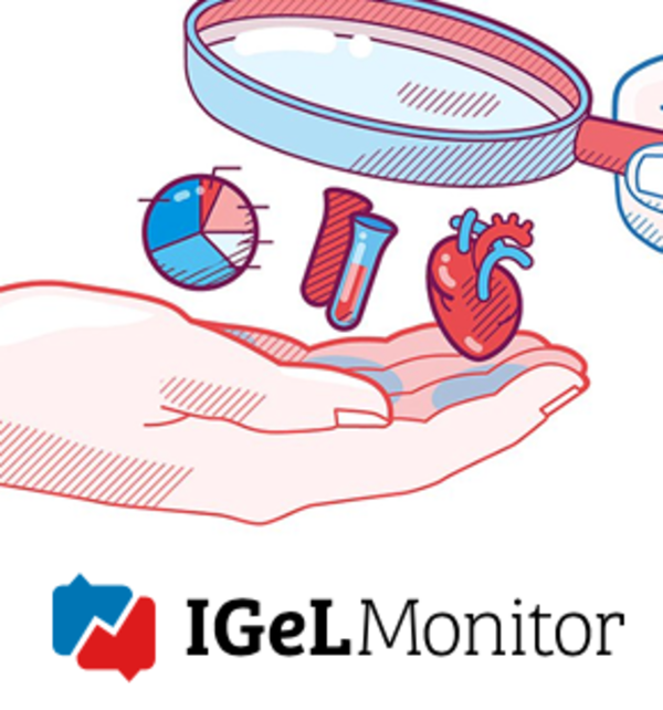 Logo-IGel-Monitor